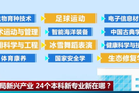 中国人才网最新招聘信息概览