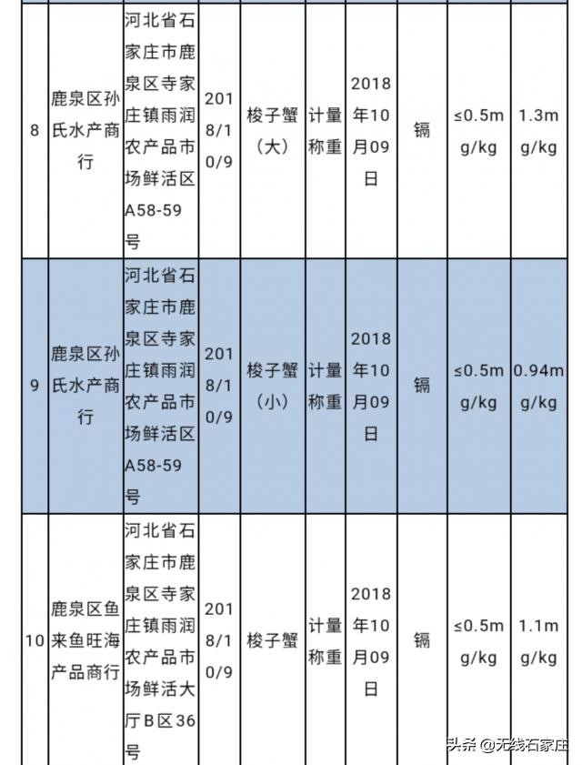 石家庄市最新鱼讯，探寻鲜活水产品的源头与动态