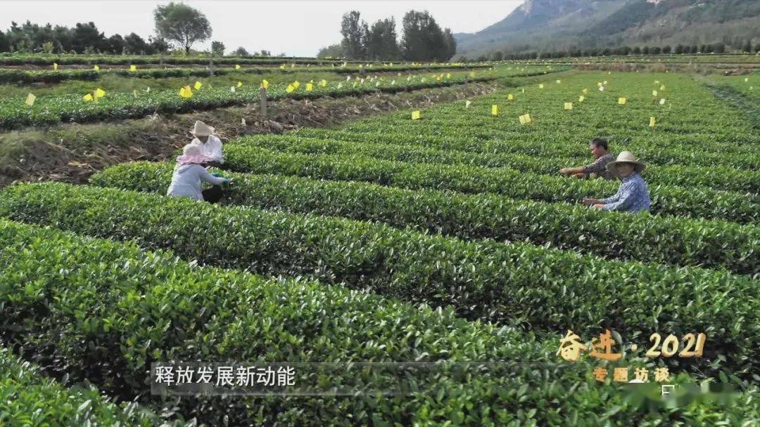 兰州桃树坪，揭开最新发展的篇章