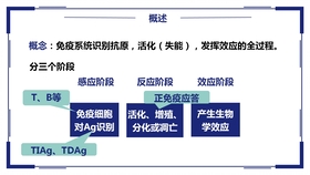 青海省最新副省长名单及其职能概述