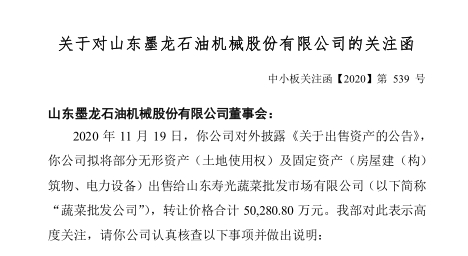 寿光墨龙最新消息全面解析