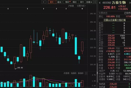 万泰时代城最新活动盛大开幕，一场精彩绝伦的盛宴