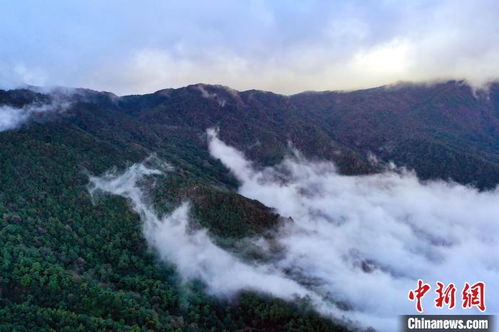 天柱联山最新消息，揭开神秘面纱，展现壮丽风采