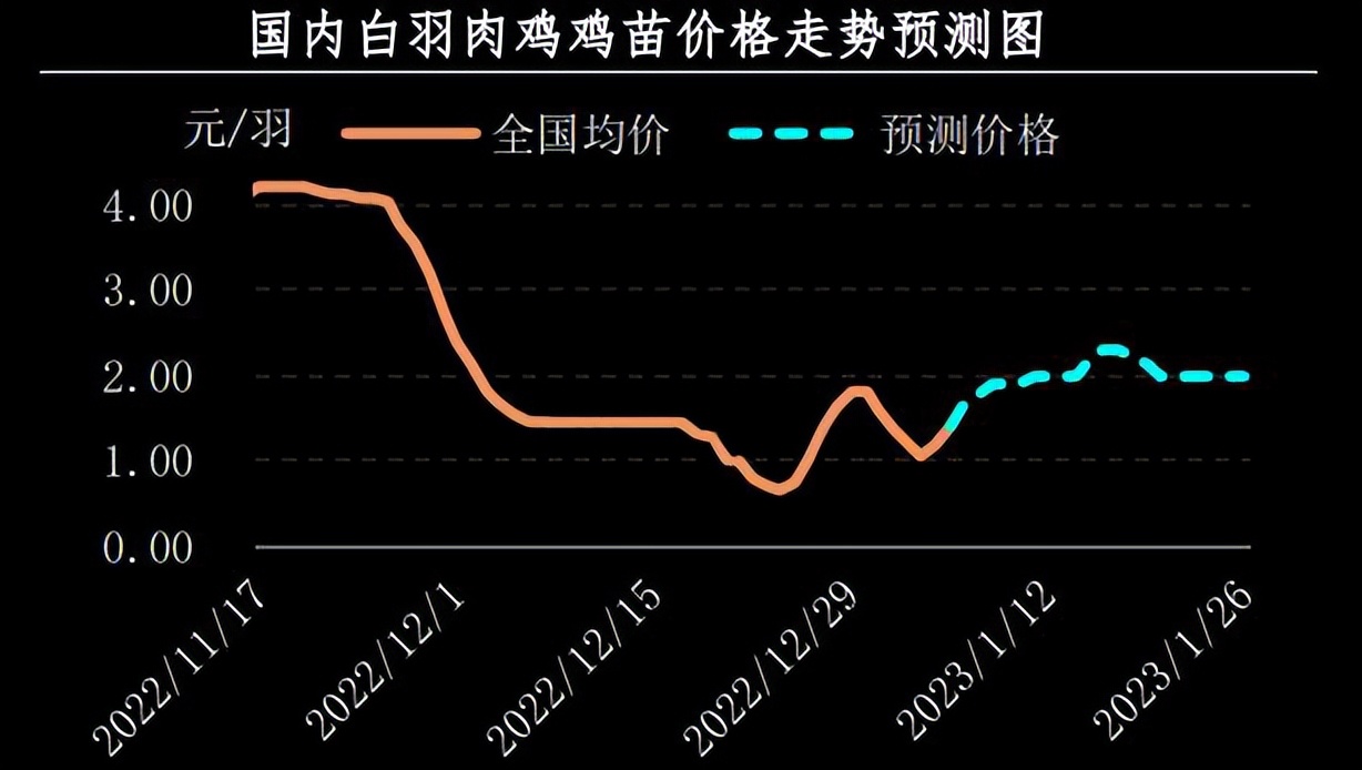 最新北京峪口鸡苗价格动态分析