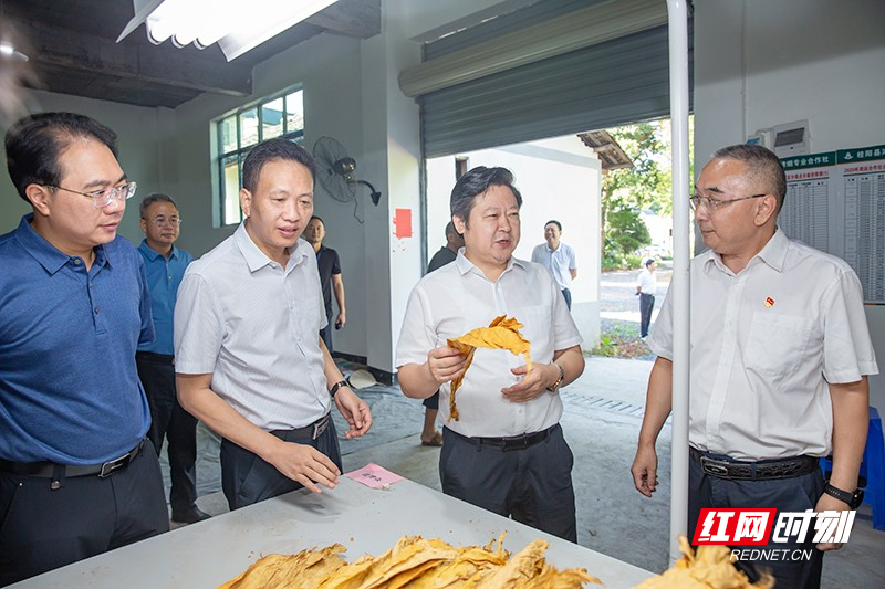 最新湖南中烟领导班子概况