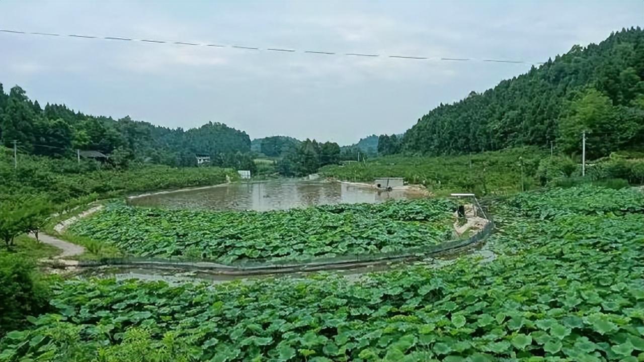 遂宁最新城市规划，塑造未来城市的蓝图