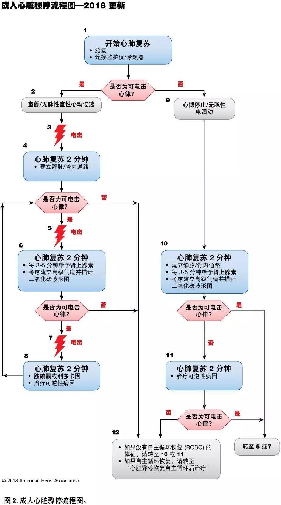 关于心肺复苏指南的最新解读，2020年心肺复苏指南原版概述