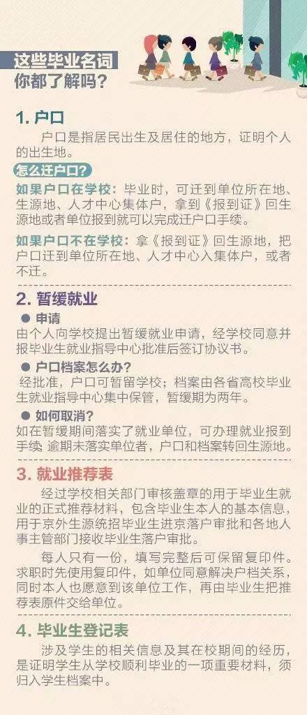 探索新澳正版资料大全与笔尖释义的落实之路