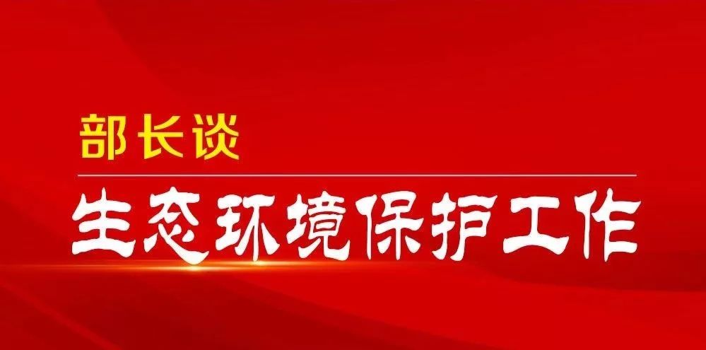 新澳门王中王战术释义解释落实，未来的挑战与机遇（2024版）