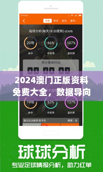 新澳门2024管家婆正版资料，精湛释义解释与有效落实的探讨