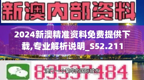 新澳2024大全正版免费资料与异常释义解释落实探讨