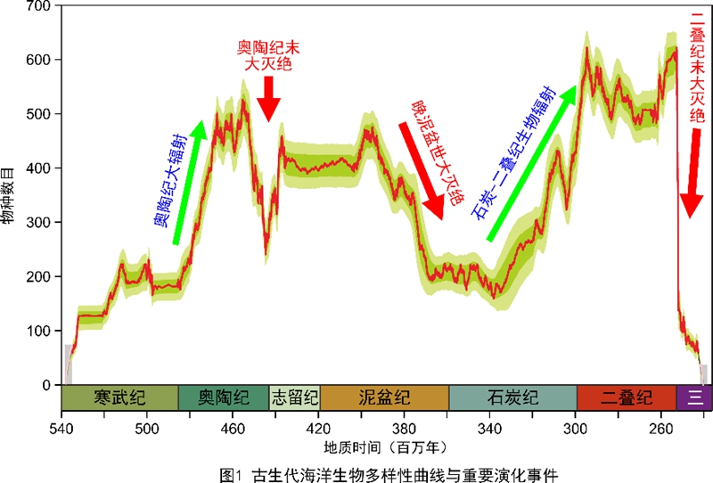 澳门彩票的层级释义与结果揭晓，深度解析开奖过程与落实机制