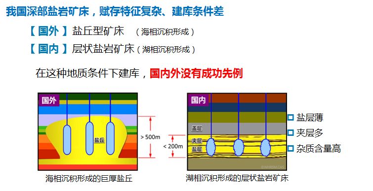 新澳资料免费精准预测，储备释义、解释与落实策略