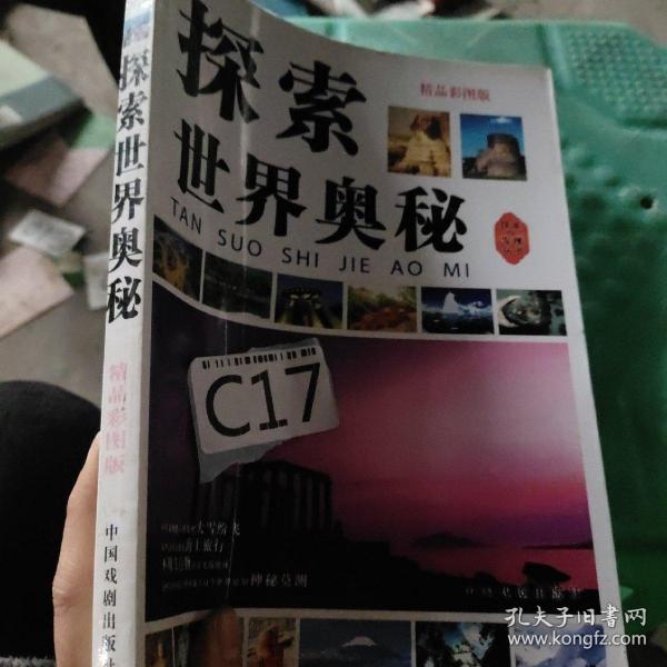 探索香港正版全年免费资料的奥秘，化风释义与落实策略