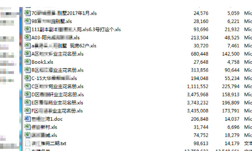 精准一肖一码一子一中，诚实释义解释落实的重要性