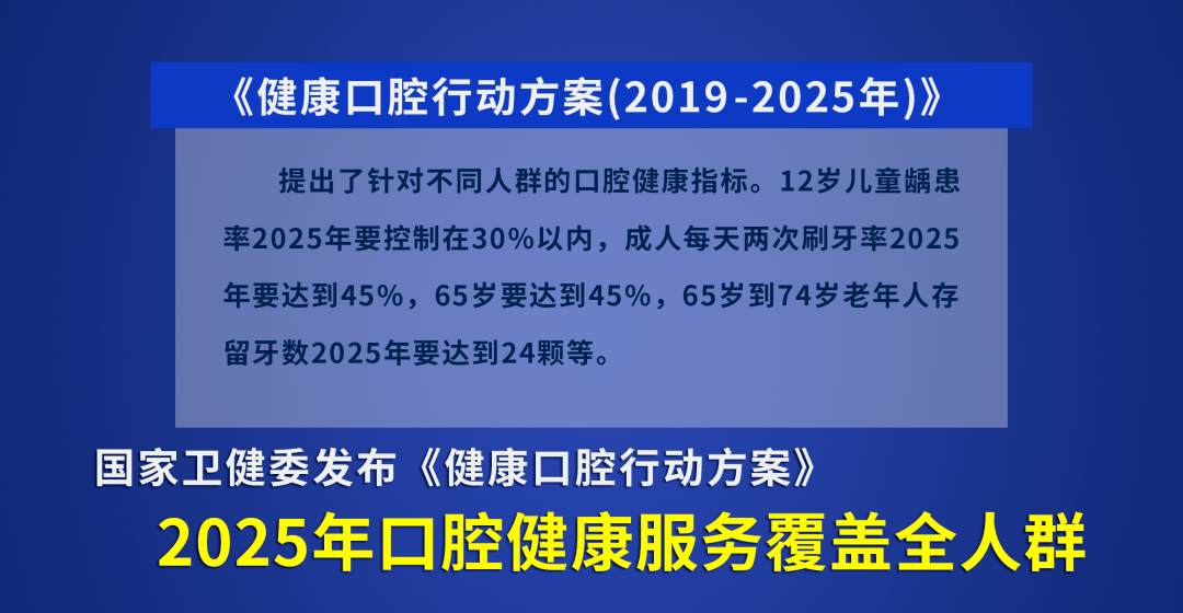 澳门特马今晚开什么，深度解析与落实策略