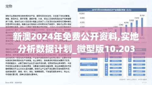 新澳2024大全正版免费资料，即时释义解释落实的重要性与价值