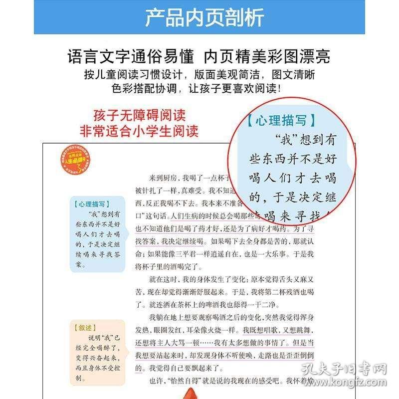 澳门跑狗图解析与全员释义解释落实