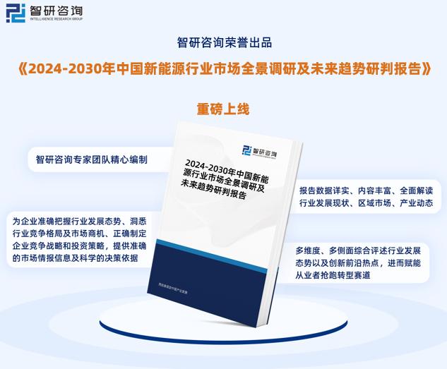 变革之路，解析新奥精准正版资料与落实策略至2025年