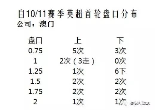 澳门开奖结果及开奖记录表013，揭秘与爆料释义的落实