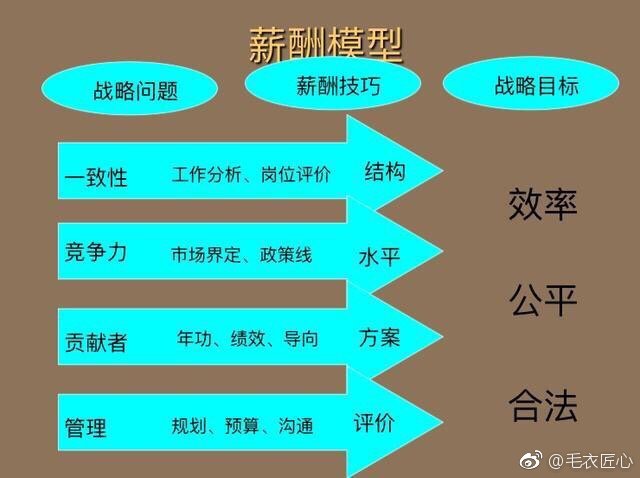 新澳一码一特，换心的释义与落实策略