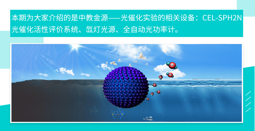 王中王资料大全及其相关释义解析与实施落实