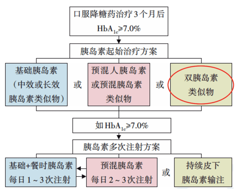 新澳天天开奖资料大全最新解读与应用指南