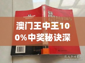 新澳门王中王期期中与确诊释义解释落实的探讨