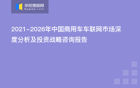 关于澳门资本车的新释义与落实策略，迈向未来的探索之旅