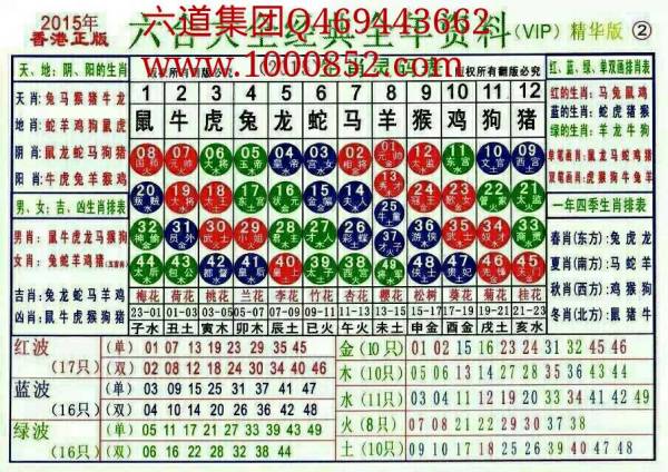 关于十二生肖与数字49的码表进度释义解释及其实施落实的研究