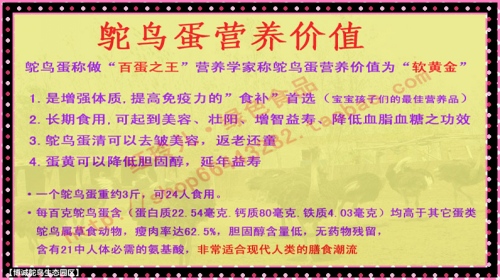 澳门特马今晚开奖113期，干练释义、解释与落实的重要性