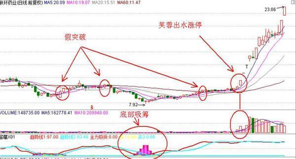 澳门特马第160期开奖预测与利润解析，落实梦想，诠释幸运