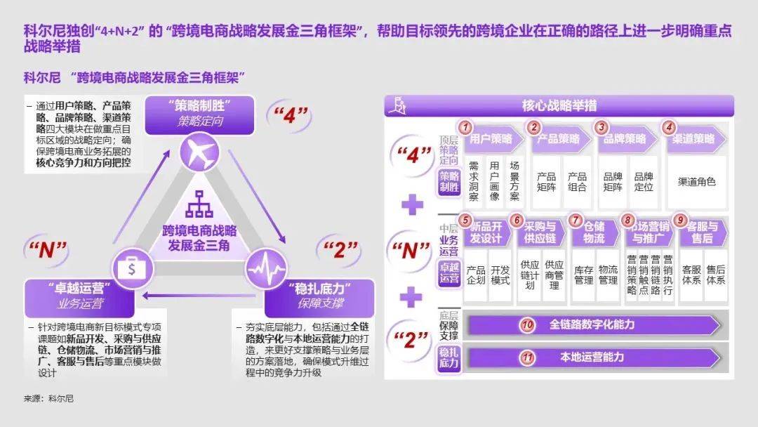 解析一肖一码一中一特，理论释义与实际应用策略