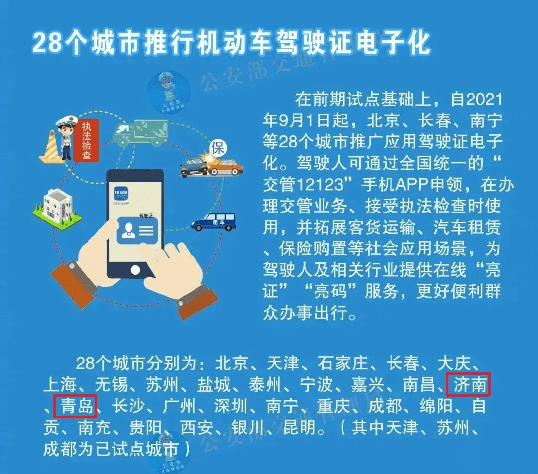 新澳2025年最精准资料大全详解，分析、释义与落实策略