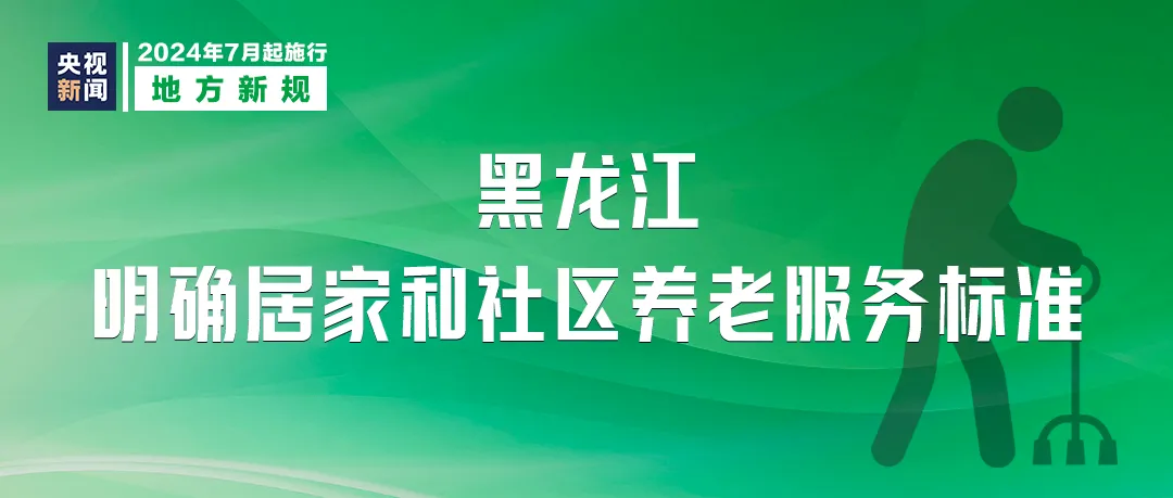 迈向2025，正版资料免费公开的实践与意义