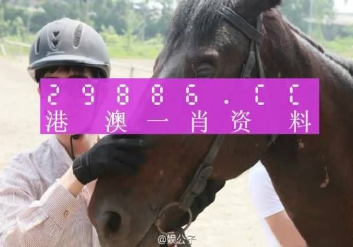 澳门必中一一肖一码服务内容解析及能力释义解释落实