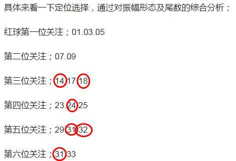 探索金龙彩资料版，网络释义的深入解释与落实