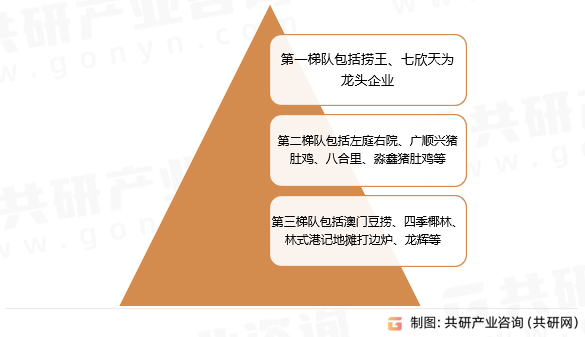 黄大仙中特论坛资料大全，区域释义与落实的深度解析