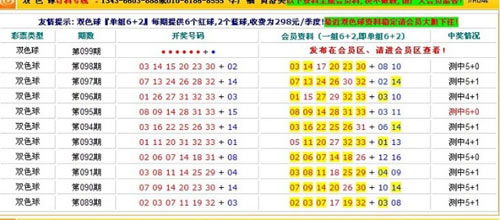 探索香港彩票文化，关于香港494949彩票的最快开奖结果与兼顾释义解释落实