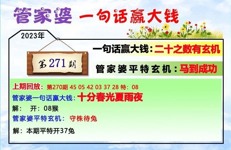 管家婆一码中一肖与宽厚释义，探索、解释与落实