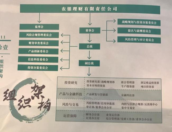 解读澳门新特马直播措施，释义、解释与落实