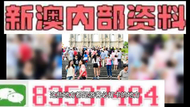 新澳精准资料免费提供的机会释义与落实策略