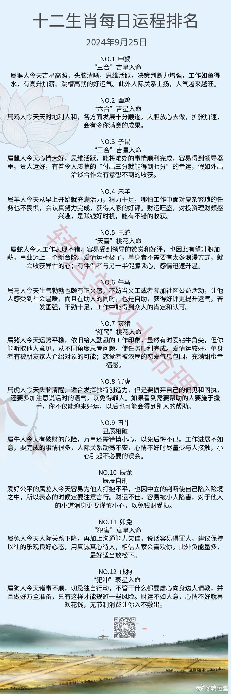 探究十二生肖与数字编码的奥秘，关于十二生肖49码表与进度的释义解释落实