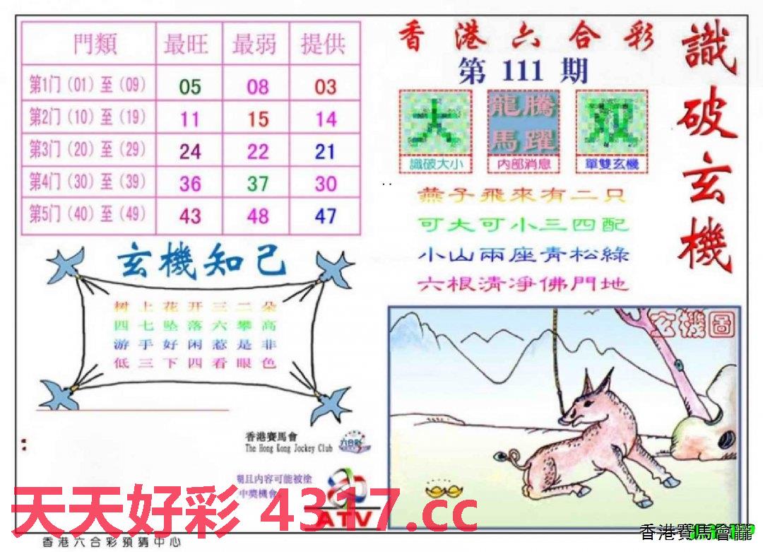 香港免六台彩图库与心机释义，探索、解释与落实