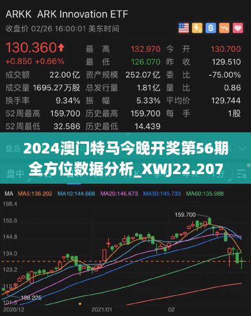 探索未来澳门特马世界，天赋释义、解释落实与2025年的新篇章