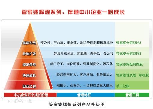 精准管家婆全准，释义解释与有效落实的策略