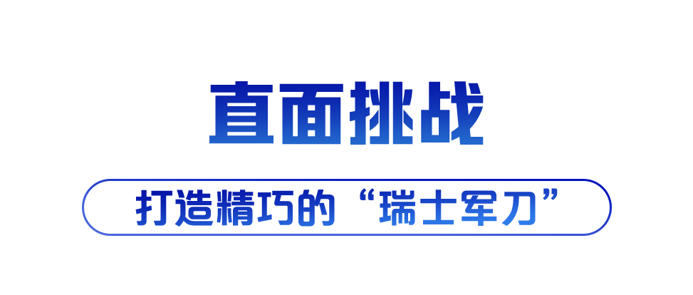 揭秘澳门原料免费策略，诀窍释义、落实行动与未来展望（关键词，新澳门原料免费、诀窍释义解释落实）