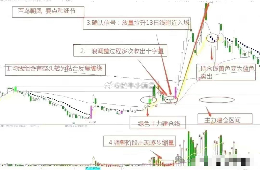 解析2025年新跑狗图最新版，权益释义与落实策略