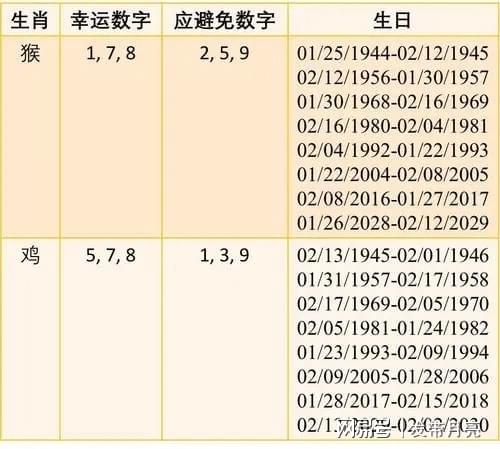 解读十二生肖与数字码，损益释义及落实策略