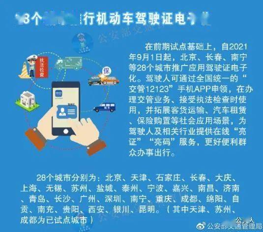 澳门一码一码精准分析与落实策略，力分释义与解释的重要性